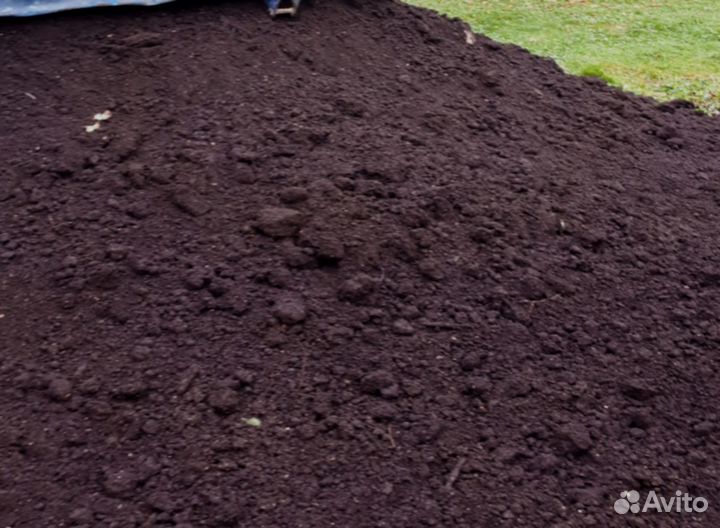 Грунт для розы садовой