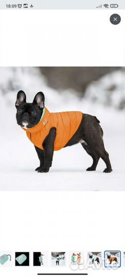 Куртка для собак