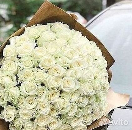 Высокие розы, букеты, цветы Доставка