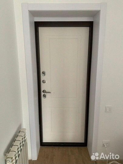 Дверь входная аргус