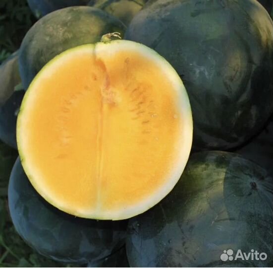 Семена арбуза