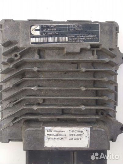 Эбу на Газель, каминец