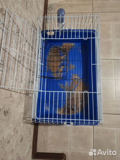 Клетка для грызунов большая, бу размер 71.5*45