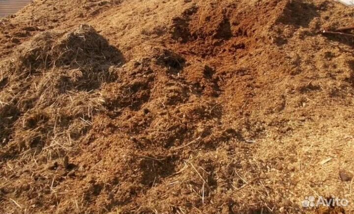 Конский навоз