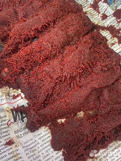 Мотыль насадочный, опарыш, червь мотыль кормовой