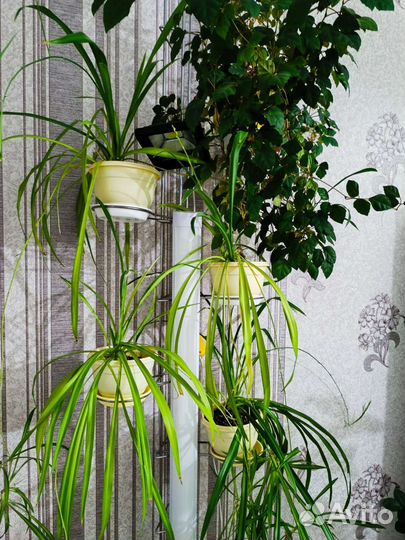 Стойка с цветами