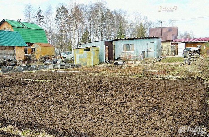 Земля плодородная чернозем грунт