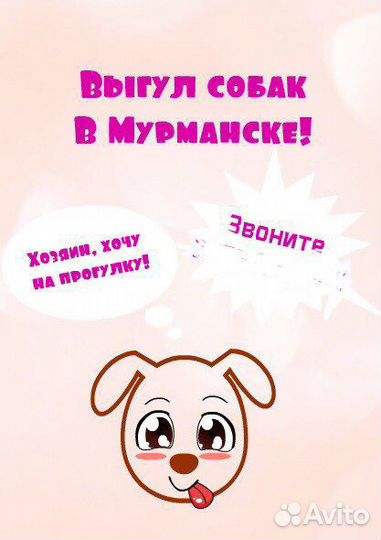 Выгул собак