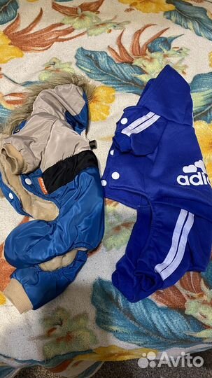 Одежда для маленьких собак s и m