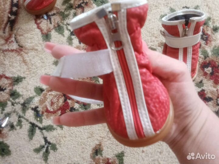 Обувь для маленьких собак