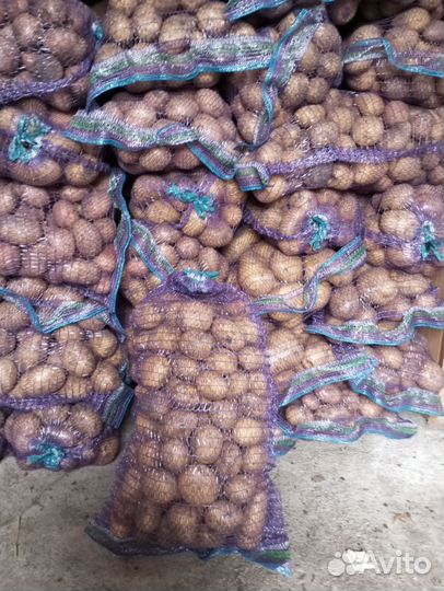 Продам картофель со своего огорода