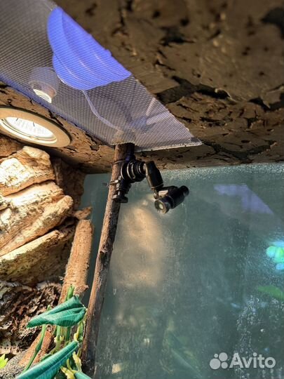 Террариум полный комплект + система полива