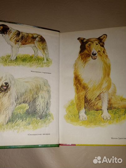 Служебное собаководство 