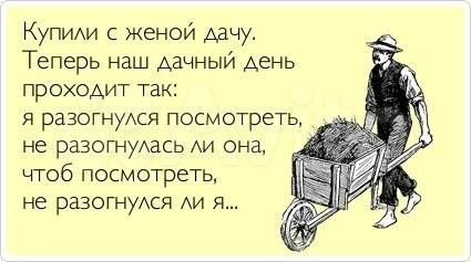 Дача 30 м² на участке 6 сот.