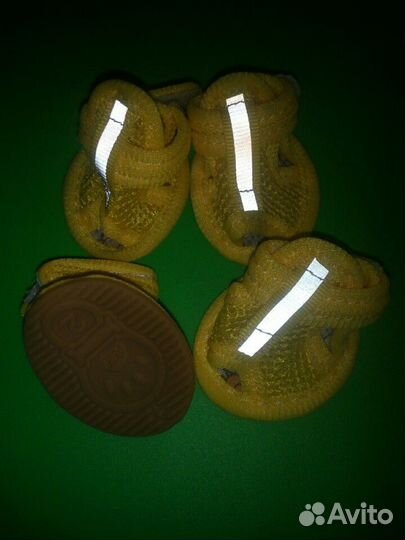 Обувь для маленькой собаки