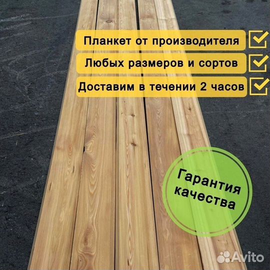 Планкен прямой лиственница