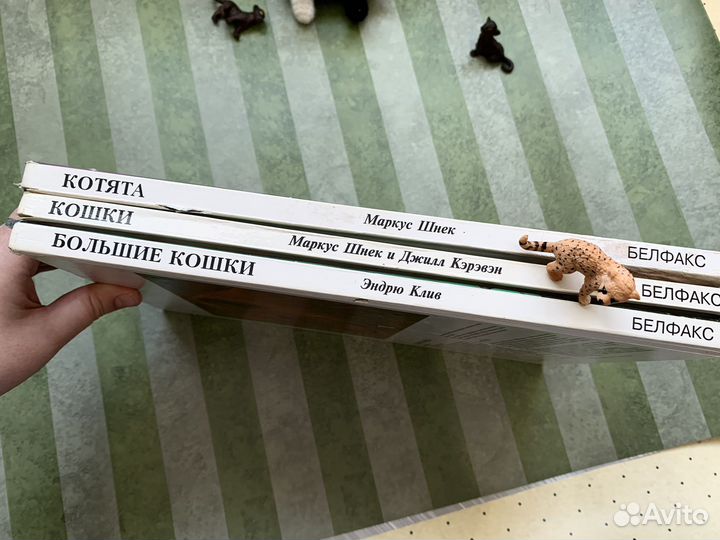 Детские Книги про кошек мир животных клив шнек