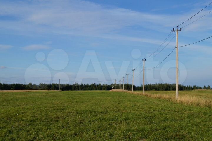 Участок 10 сот. (ИЖС)