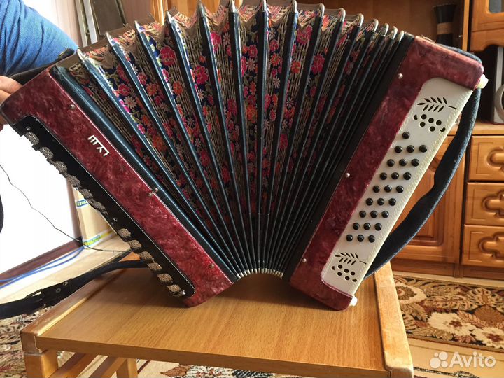 Гармонь Рябинушка