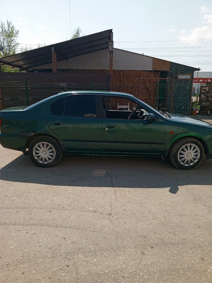 Nissan Primera: фото владельца