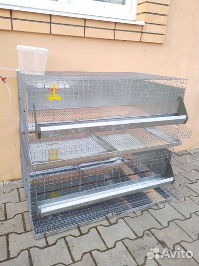 Клетка для 20 кур