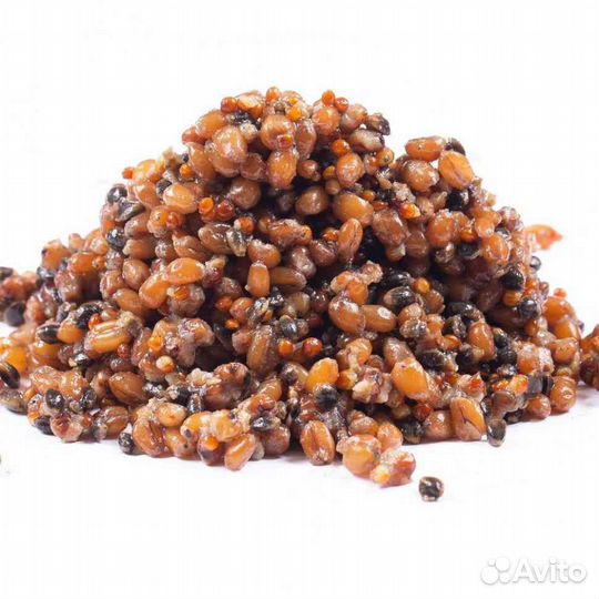 Зерновая смесь Bird food Minenko PMbaits Aroma fre