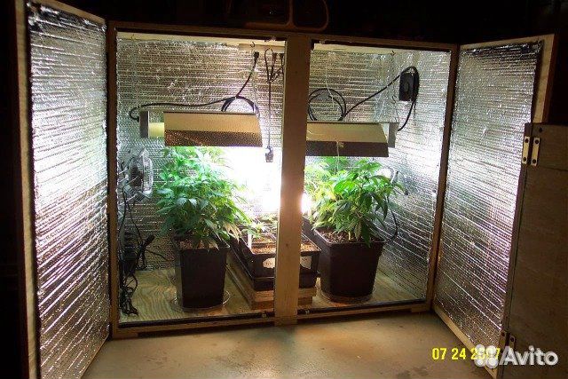 Ускоритель выращивания