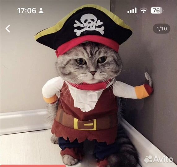 Костюм для кошки