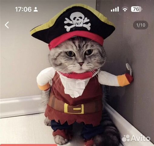 Костюм для кошки