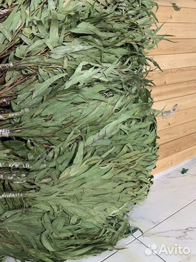 Эвкалиптовый веник свежий в наличии Тюмень