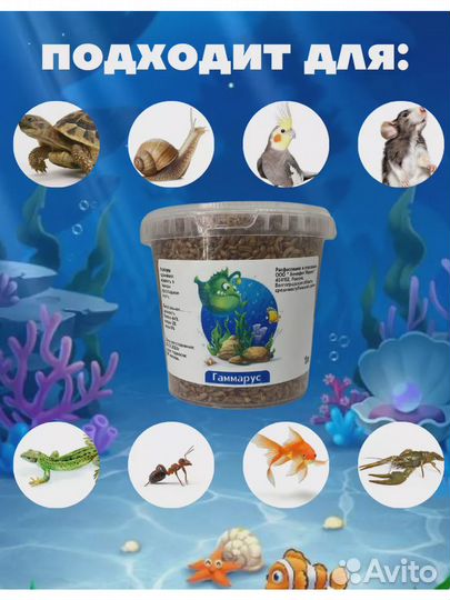 Корм для рыб черепах рептилий Гаммарус 100гр