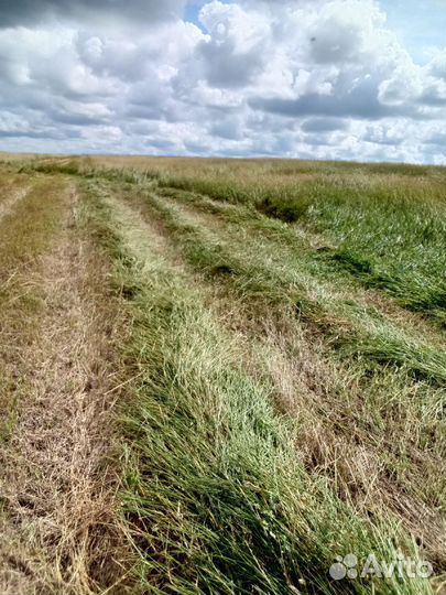 Сено в рулонах