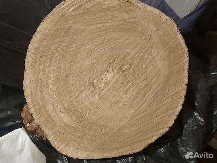 Спилы разных пород дерева