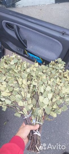 Берёзовые веники для бани