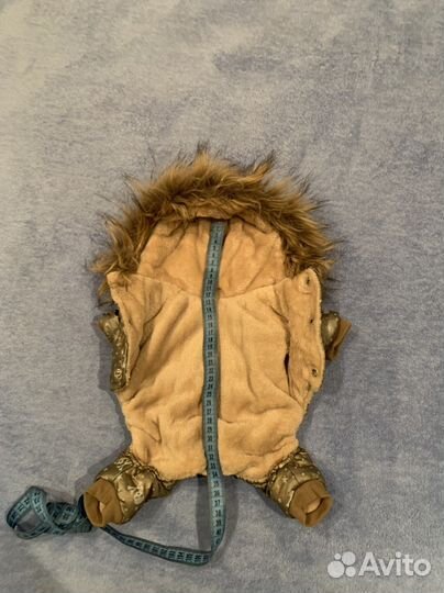 Одежда для собак