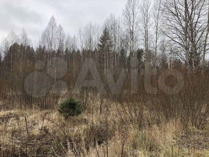 Участок 11,3 сот. (СНТ, ДНП)