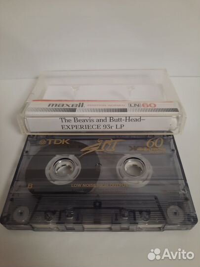 THE beavis AND butt - head Experience