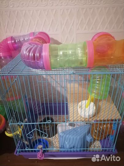Клетка для хомяка с трубами