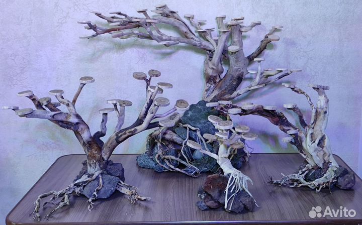 Коряга для аквариума бонсай