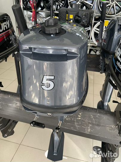 Мотор Tarpon T5S