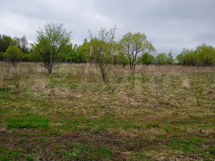 Участок 5,72 га (СНТ, ДНП)