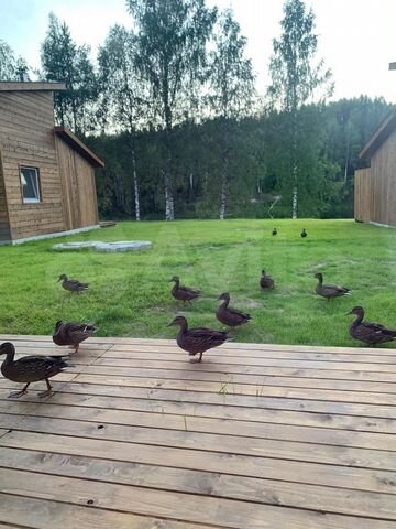 Дом 42 м² на участке 25 сот.