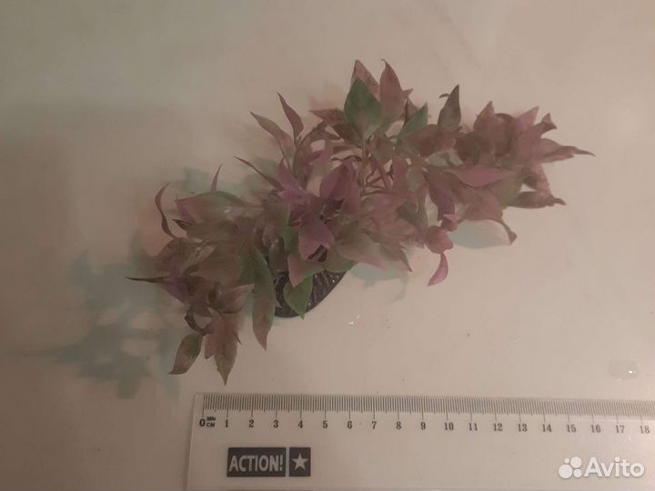 Искусственные водоросли декорация в аквариум