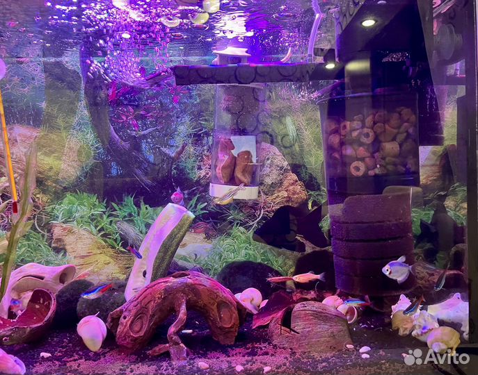 Аквариум