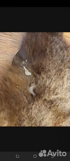 Шкура медведя (имитация)