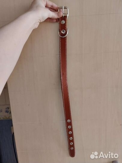 Замки висячие и ошейники