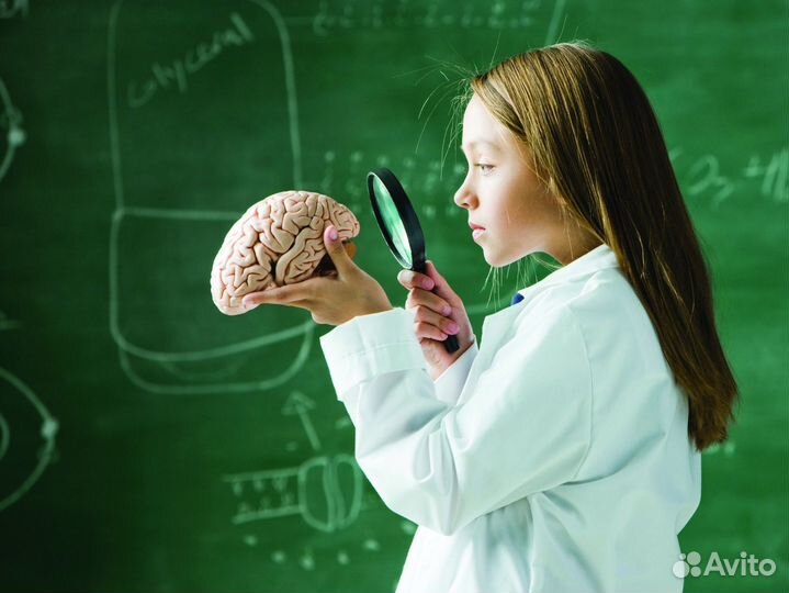 Репетитор по информатике ЕГЭ ОГЭ