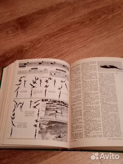 Энциклопедия/толковый словарь larousse 1967 г/и