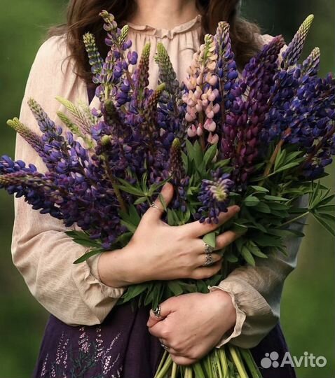 Букет цветов люпины