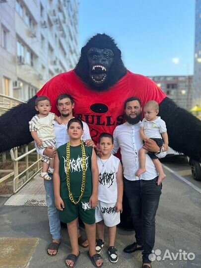 Поздравление для взрослых аниматор горила мишка